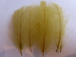 CDC Dirty yellow XL